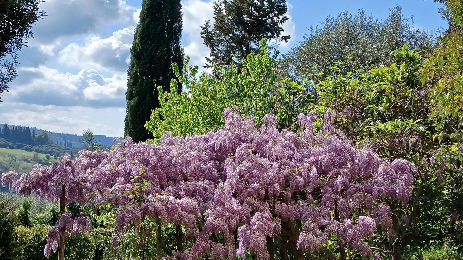 Agriturismo Villa Gorgognano Certaldo 0*,  Italien